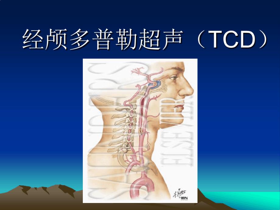 经颅多普勒超声TCD课件_第1页