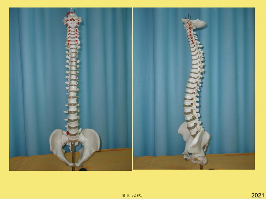 脊柱相关疾病的手法特点(与“患者”有关文档共33张)_第1页