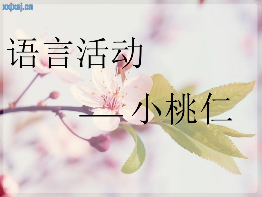 语言活动：小桃仁_第1页