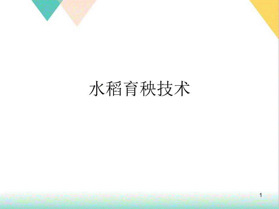 水稻育秧技术培训课件_第1页