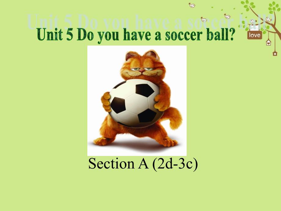 学年七年级英语上册Unit5DoyouhaveasoccerballSectionA第2课时课件新版人教新目标版_第1页