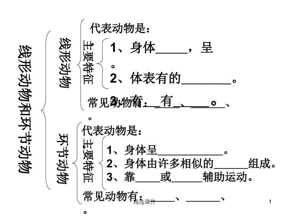 软体动物和节肢动物-新课件_第1页