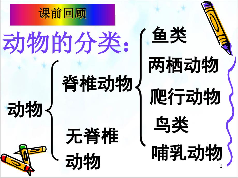 浙教版七级科学上册常见的动物第二课课件_第1页