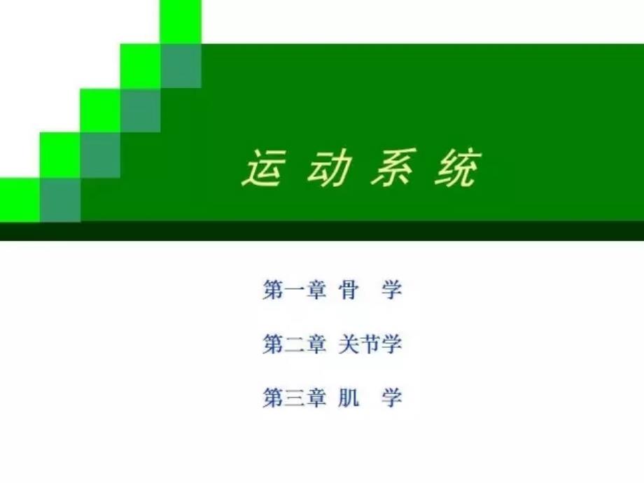 运动系统●骨学课件_第1页