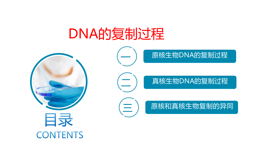 生物化学DNA的复制过程_第1页