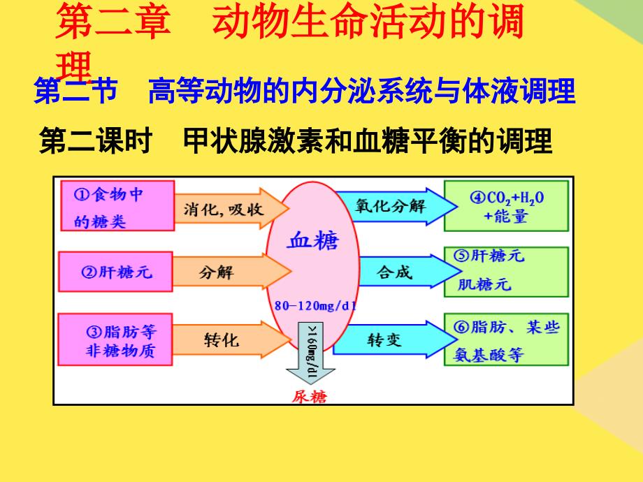 高等动物的内分泌系统与体液调节第二课时2022优秀文档_第1页