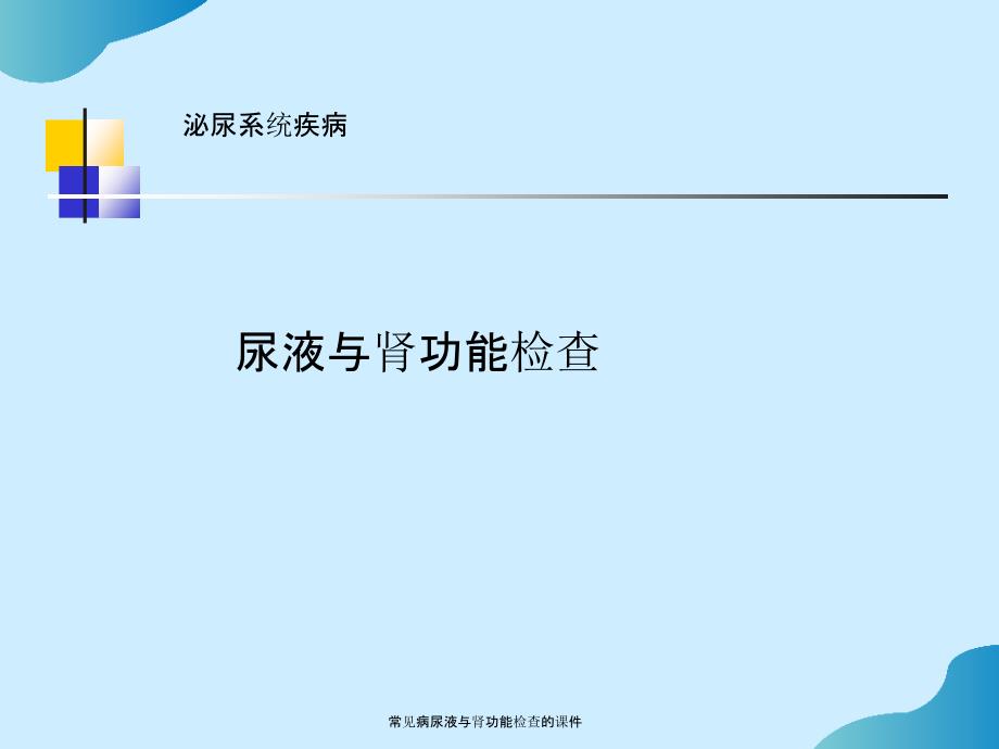 常见病尿液与肾功能检查的课件完整_第1页