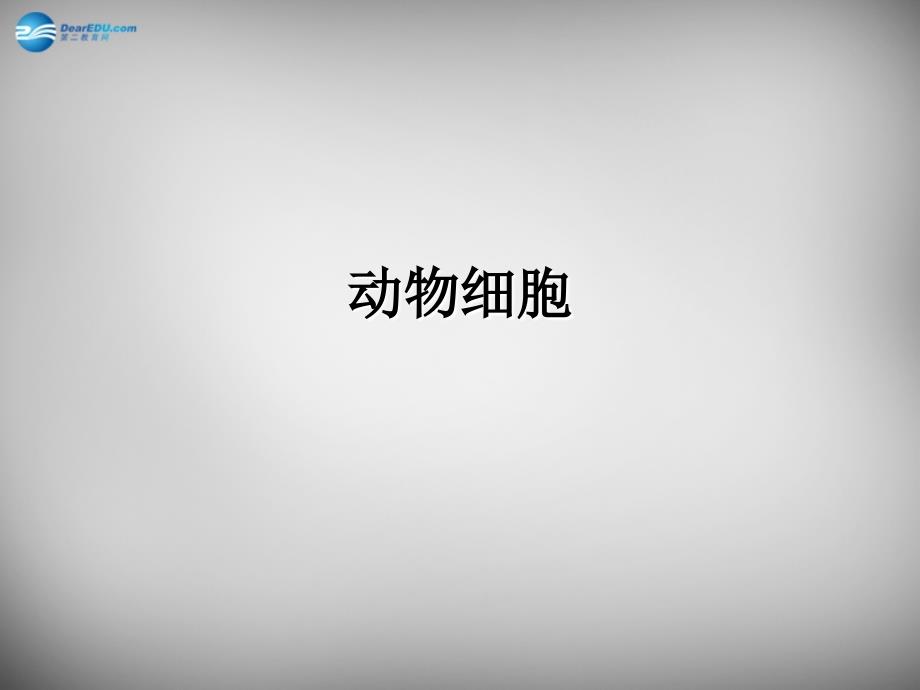 安徽省长丰县下塘实验中学七年级生物上册213 动物细胞课件 （新版）新人教版_第1页