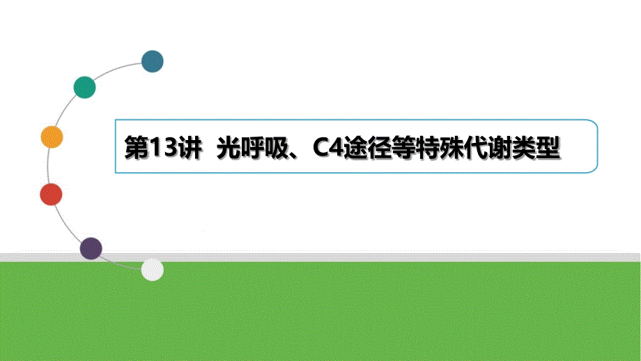 2024屆高三生物一輪復習第13講光呼吸、C4植物等特殊代謝類型_第1頁