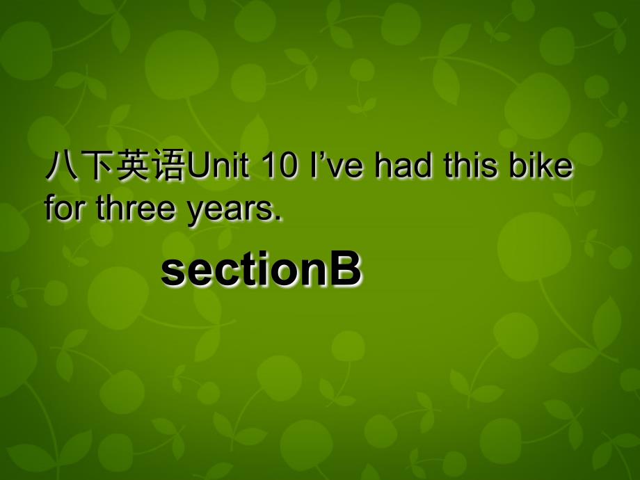 湖北省荆州市沙市第五中学八年级英语下册 Unit 10 I’ve had this bike for three years课件3 （新版）人教新目标版_第1页