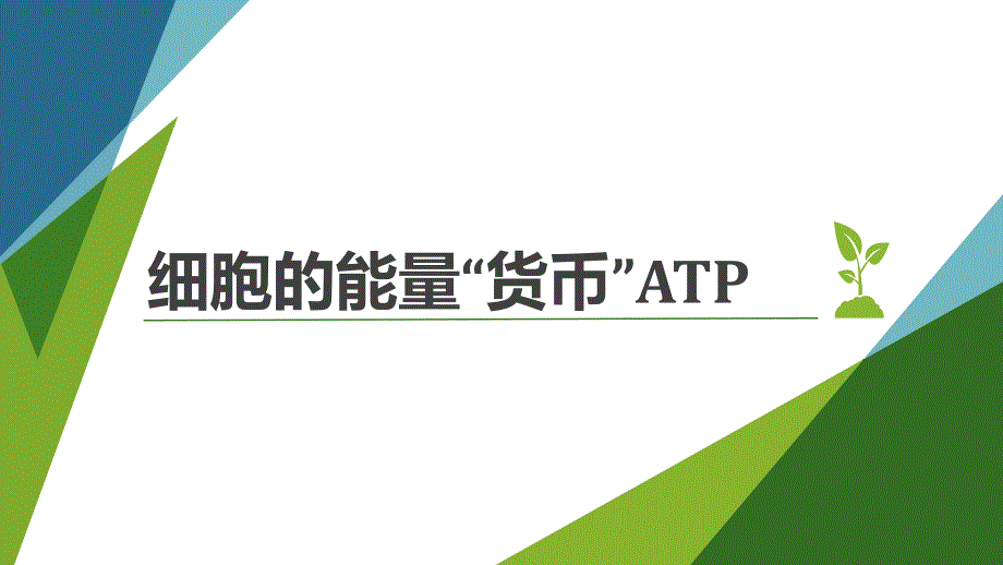 细胞的能量货币ATP 课件2022-2023学年高一上学期生物人教版（2019）必修1_第1页