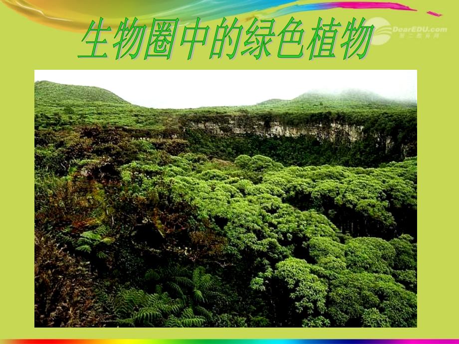 湖北省武汉市秋七年级生物上册311藻类苔藓和蕨类植物课件 新人教版_第1页