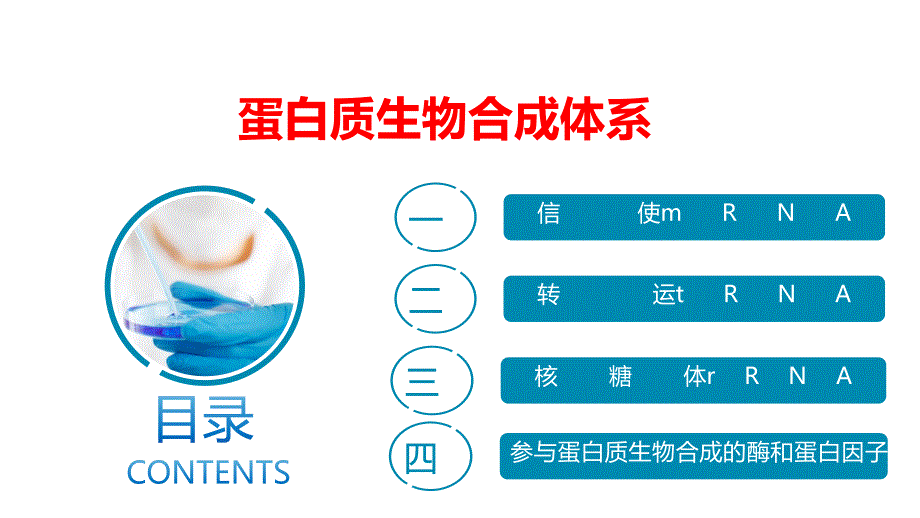 生物化学-蛋白质生物合成体系_第1页