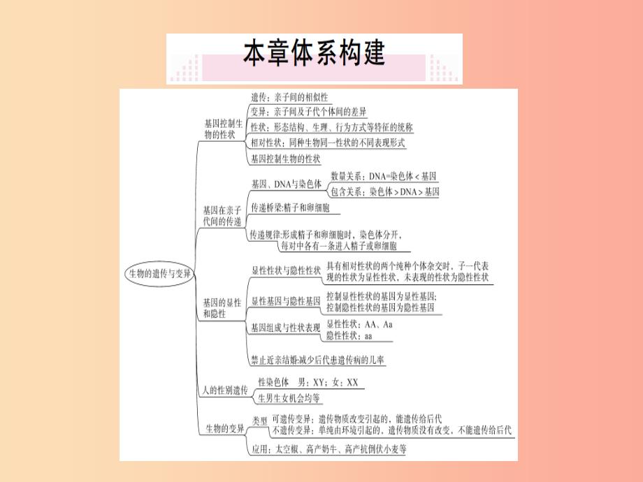 201x春八年级生物下册-第七单元-第二章-生物的遗传与变异小结与复习习题--新人教版课件_第1页