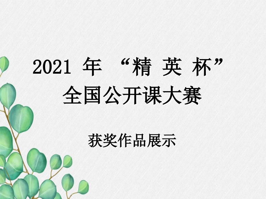 2021年人教版九上《元素》课件(省优获奖)-2_第1页