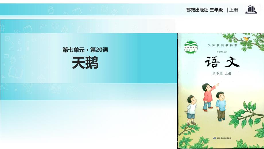 2021小学语文新鄂教版三年级上册《天鹅》教学课件_第1页