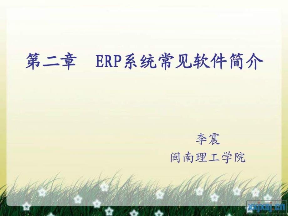 ERP系统常见软件简介_第1页