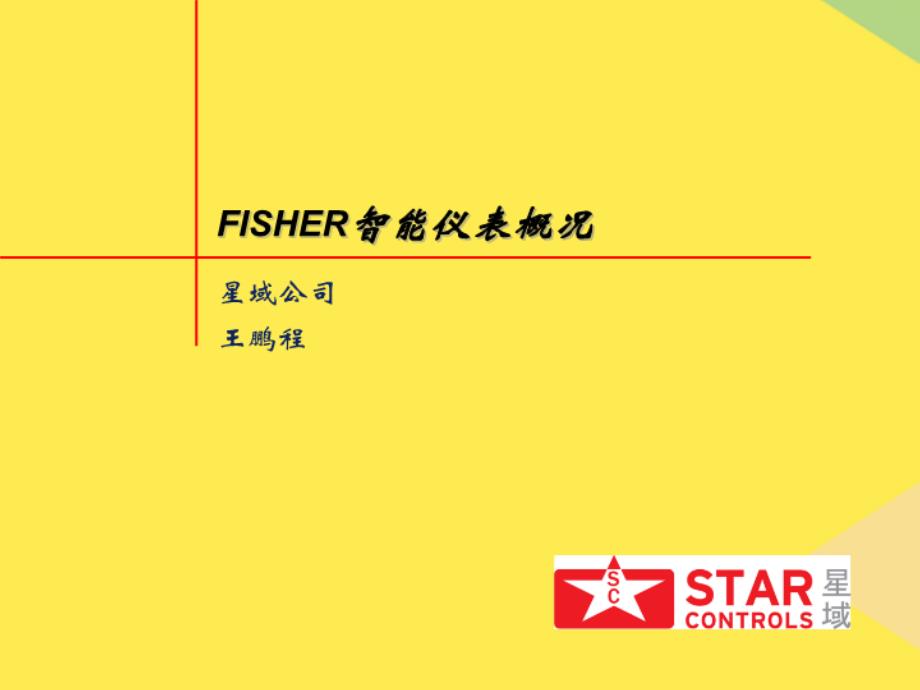 FISHER智能仪表概况完整版资料_第1页