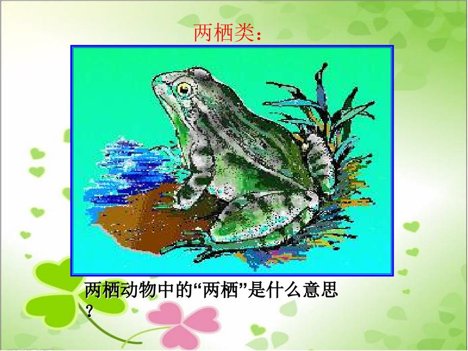 2022年济南初中生物七上《脊椎动物的主要类群》公开课课件4_第1页