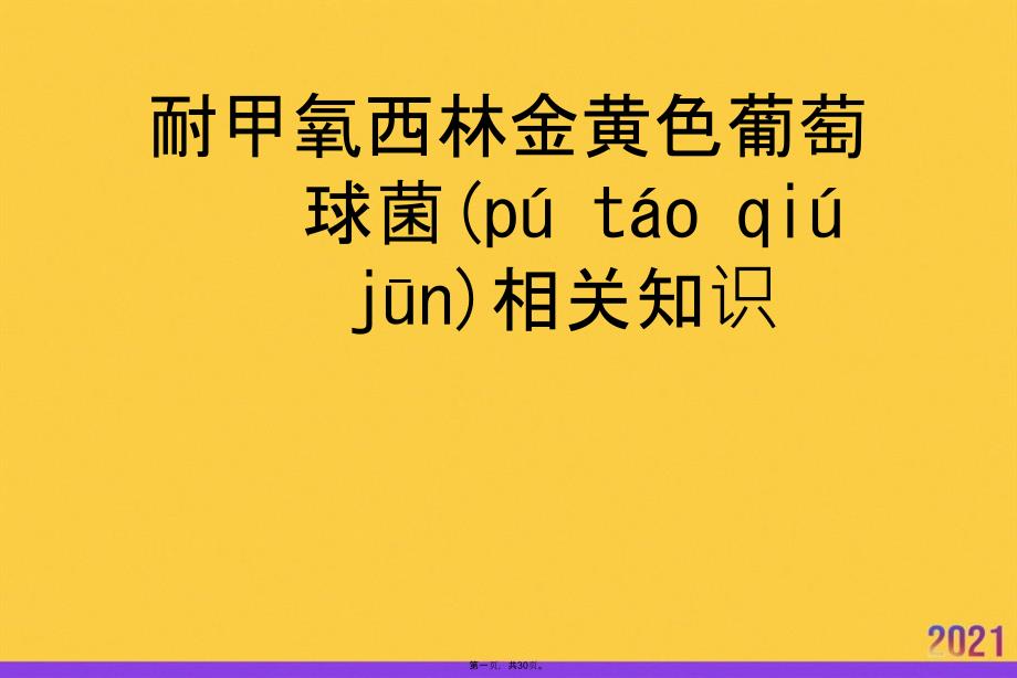 耐甲氧西林金黄色葡萄球菌相关知识推选优秀ppt_第1页