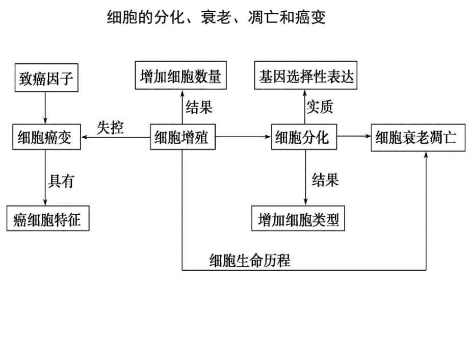 分化衰老凋亡和癌变生物学自然科学_第1页