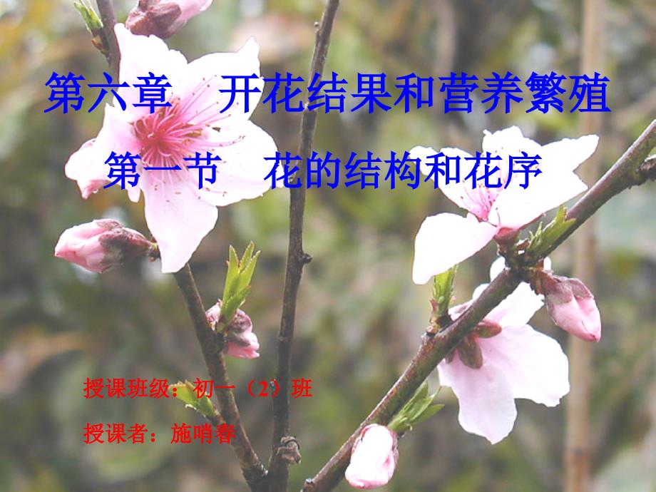 2021花的結構和花序(優(yōu)秀)課件_第1頁