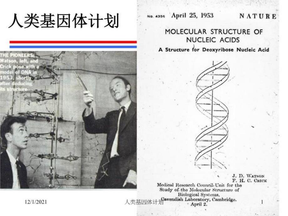 《人类基因体计划》课件_第1页