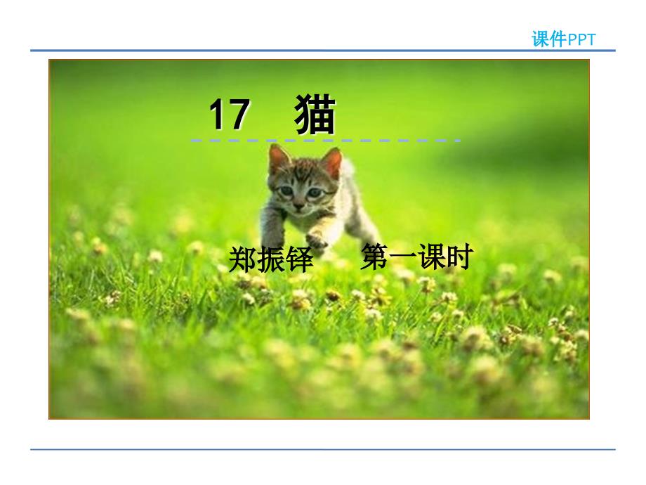 2022年部编版语文《猫第一课时》课件_第1页