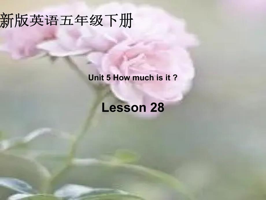 how-much-is-it中小学教学课件_第1页