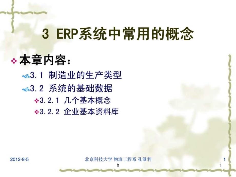 ERP系统中常用的概念课件_第1页