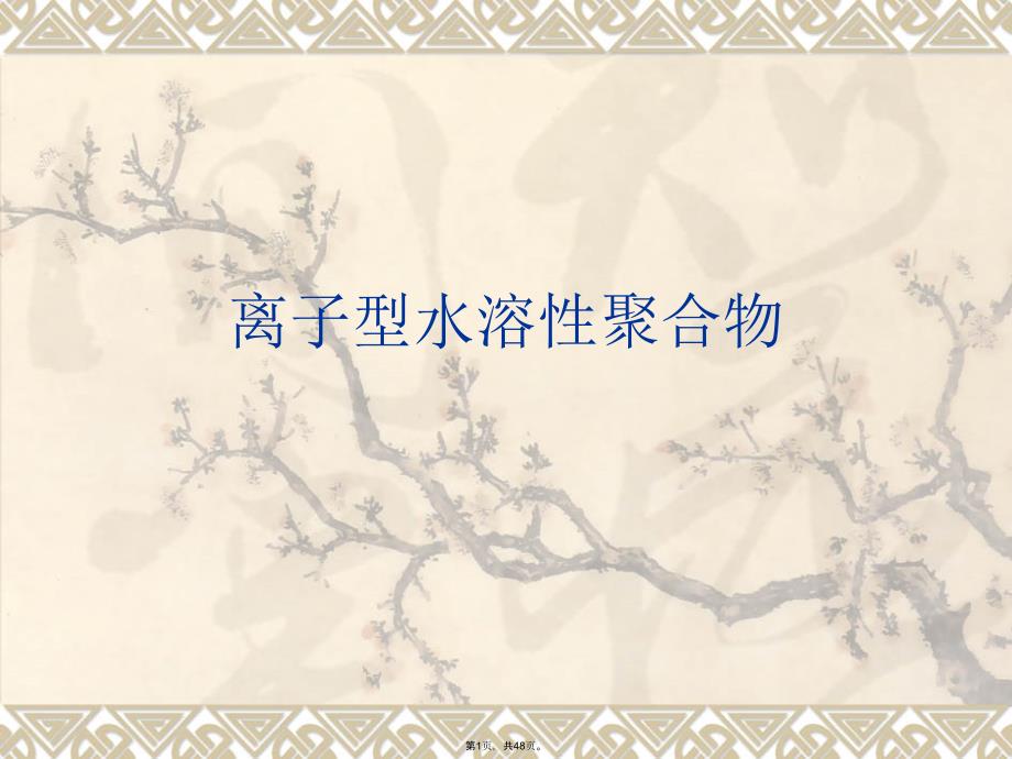 阴阳离子聚合物(共48张PPT)_第1页