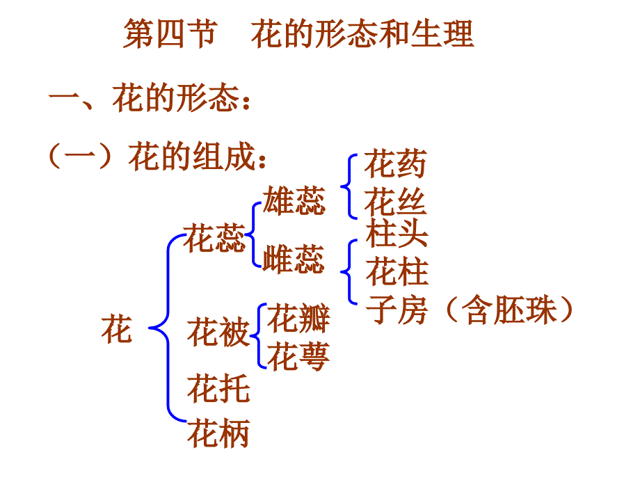 2021花的形态2(优秀)课件_第1页