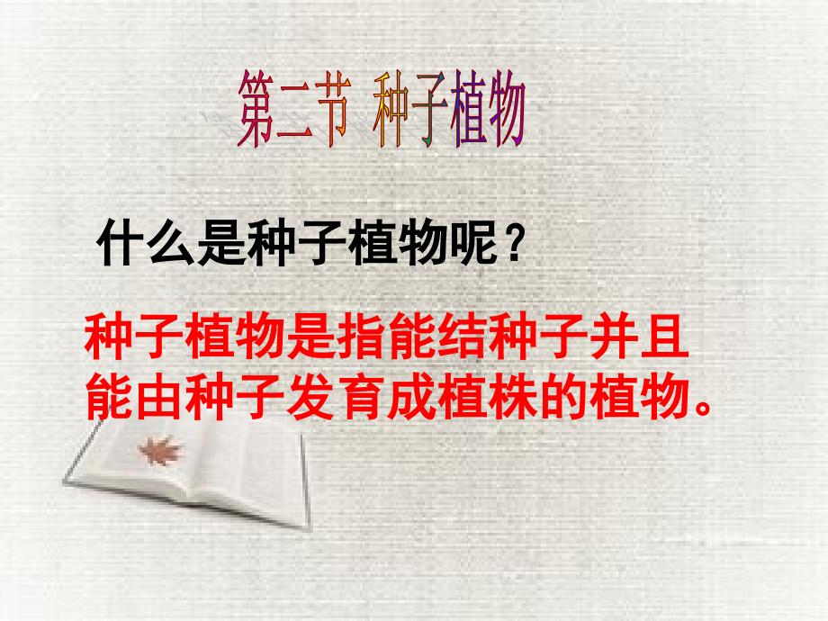 七年级生物第二节种子植物优秀课件_第1页