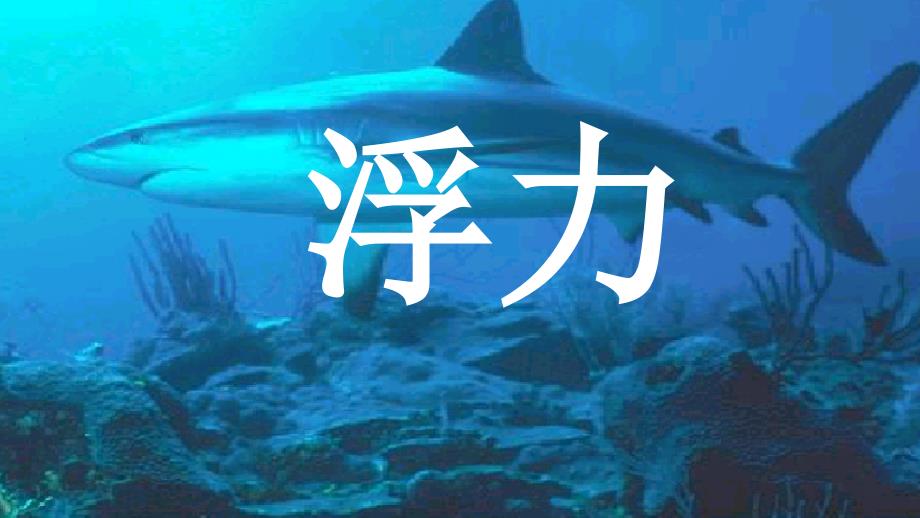 《物体的浮沉条件及应用》课件-(省一等奖)2022年人教版物理-(19)_第1页