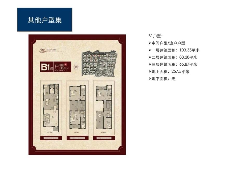 同策保利青岛别墅市场考察研究报告(2)_第1页