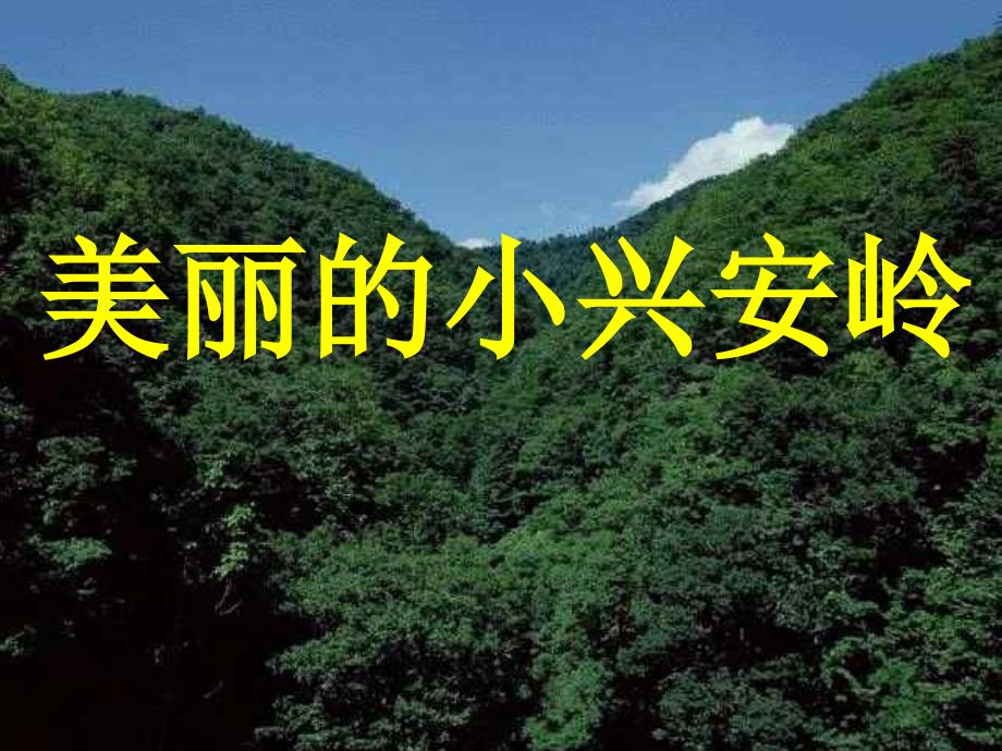 三年级语文上册第六组23美丽的小兴安岭课堂教学课件3新人教版_第1页