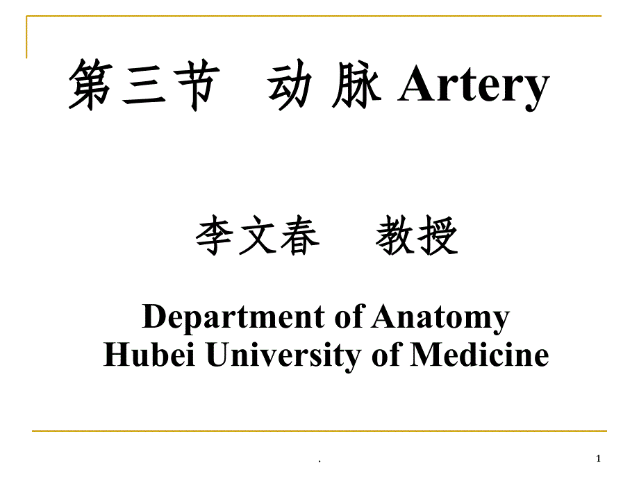 《系统解剖学》教学资料-动脉课件_第1页