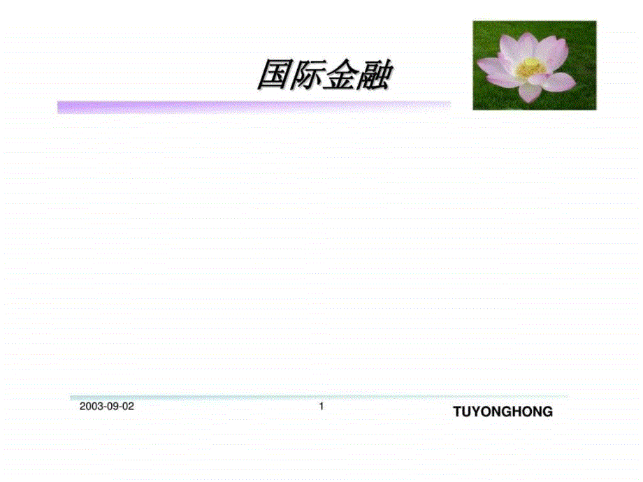 国际金融基础(国际金融学-人民大学_第1页