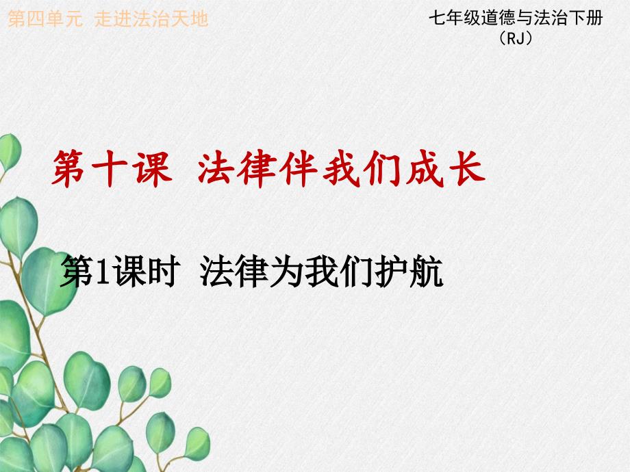 《法律为我们护航》课件-2022年部编版道法课件_第1页