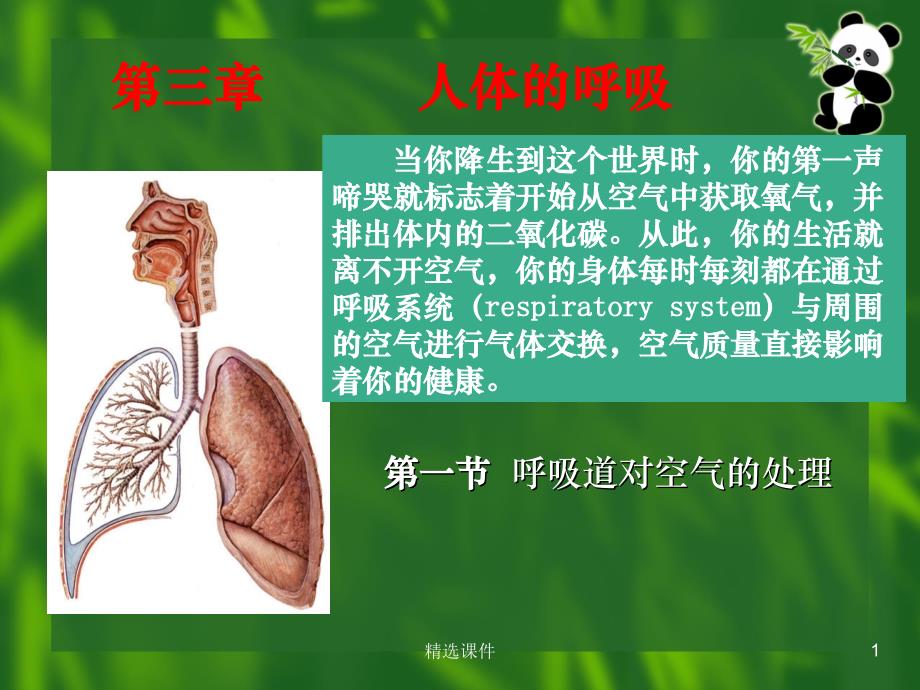 七年級生物下冊呼吸道對空氣的處理課件_第1頁