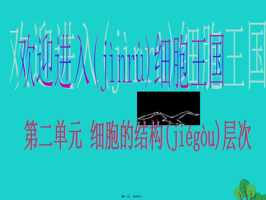 七年级生物上册211练习使用显微镜课件(新版)新人教版_第1页