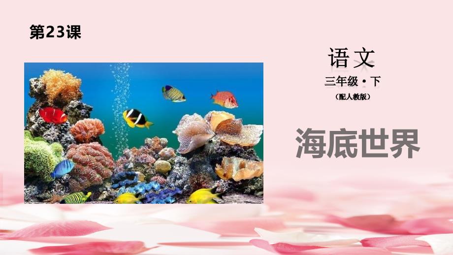 《海底世界》课件_002_第1页