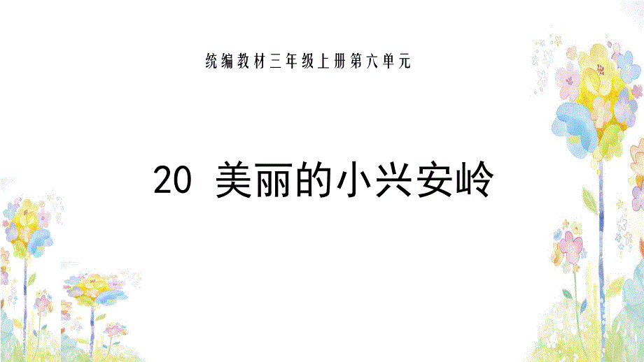 三年级上册语文课件人教部编版20美丽的小兴安岭_第1页