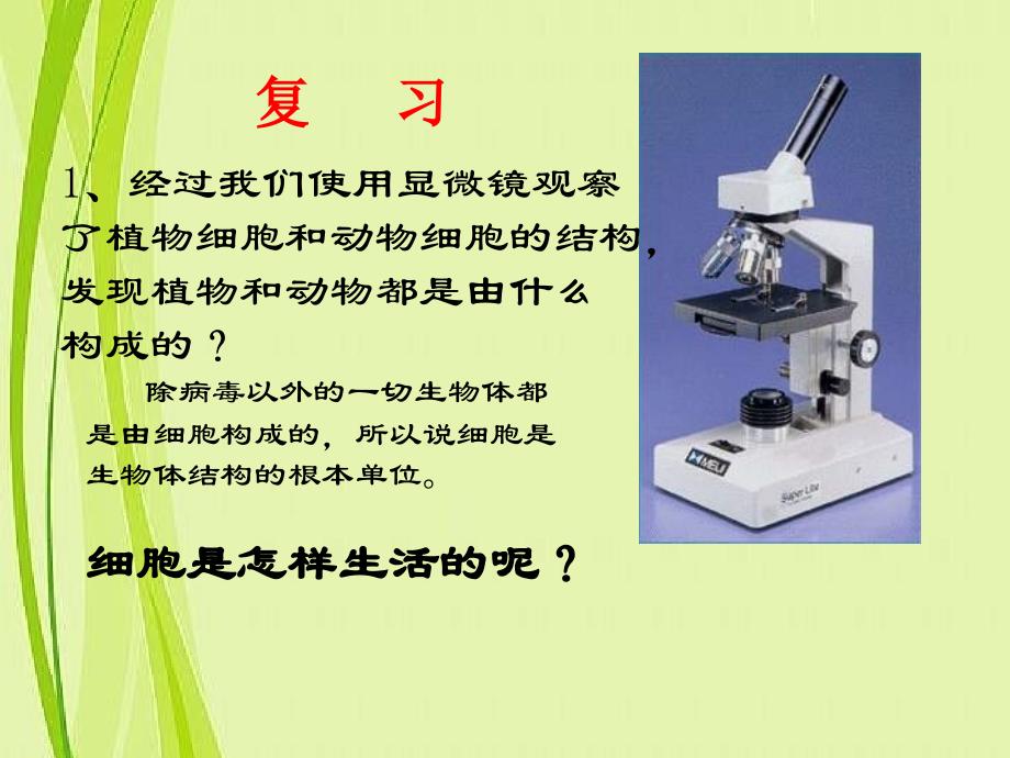 七年级生物细胞的生活优秀课件_第1页