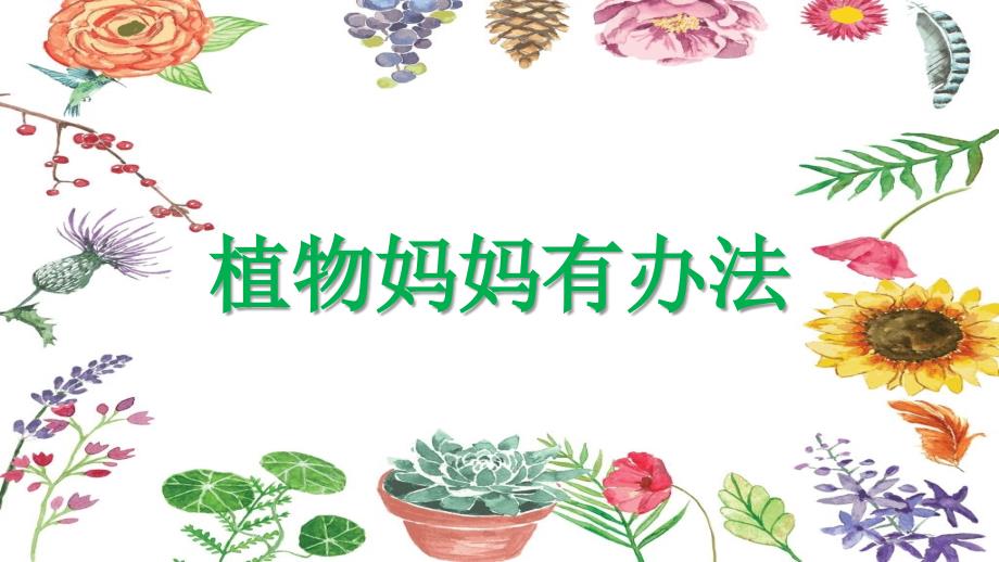 人教部编版语文《植物妈妈有办法》优秀课件1_第1页