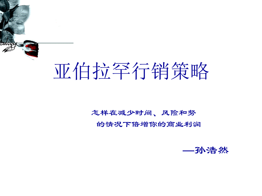 亚伯拉罕行销策略课件_第1页