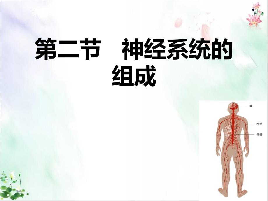 人教版初中生物《神经系统的组成》经典课件_第1页