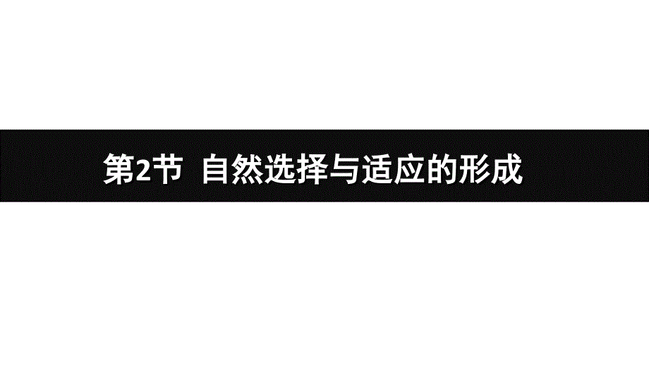 人教版自然选择与适应的形成课件2_第1页