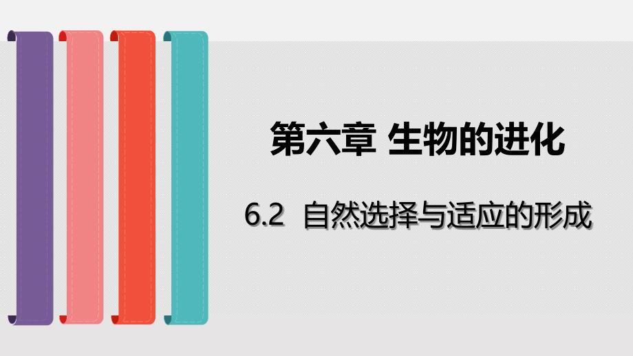 人教版自然选择与适应的形成教学课件2_第1页