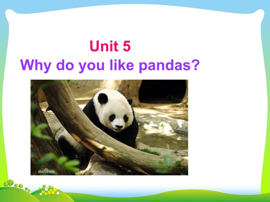 人教版七年级-Unit-5-Why-do-you-like-pandas-Section-A-2课件_第1页